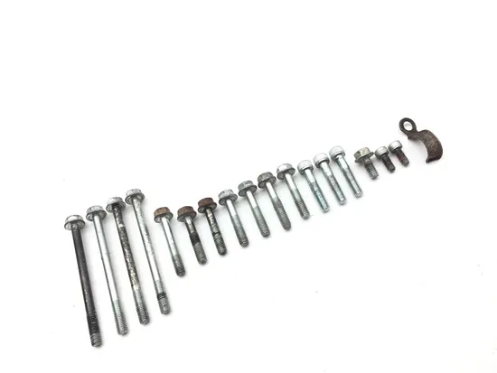 Outer Stator Cover 1998 Honda Foreman 400 TRX400FW 4x4 2831A