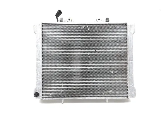 Engine Radiator Cooling 2002 Polaris Sportsman 700 Twin 2832A
