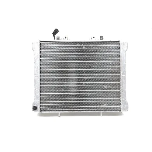 Engine Radiator Cooling 2002 Polaris Sportsman 700 Twin 2832A 3