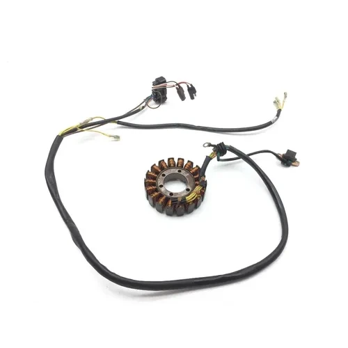 Engine Stator Generator 2004 Polaris Sportsman 700 Twin 2806A 5