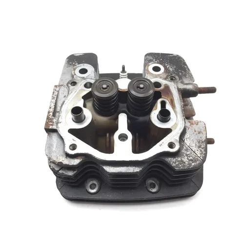 Engine Cylinder Head Complete W Valves 2001 Honda Rancher 350 TRX350FM 4x4 2824A 17