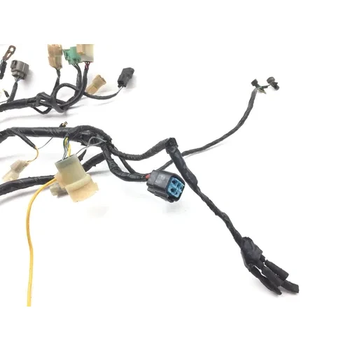 Main Engine Wiring Harness 2001 Honda Rancher 350 TRX350FM 4x4 S 2824A 9