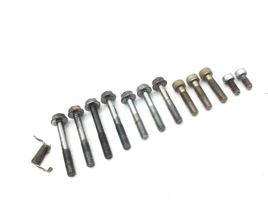 Outer Stator Cover 2001 Honda Rancher 350 TRX350FM 4x4 S 2824A