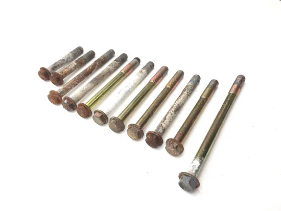 Engine Center Cases Case Bolts 2001 Polaris Trail Boss 325 2835A