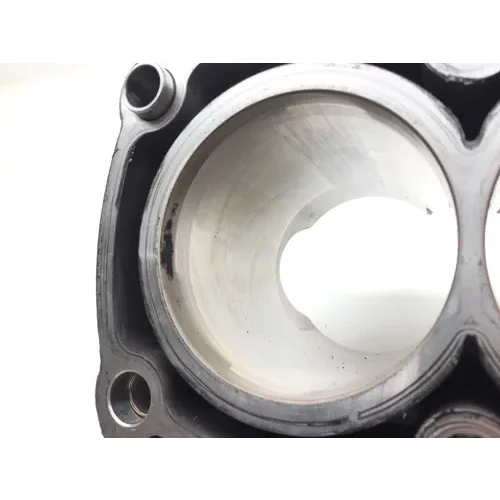 Engine Cylinder Jug 2012 Polaris RZR 800 EFI 2828A x 17