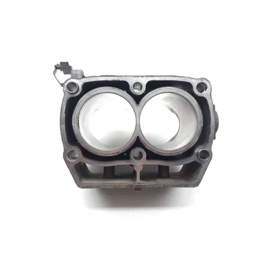 Engine Cylinder Jug 2012 Polaris RZR 800 EFI 2828A x 13