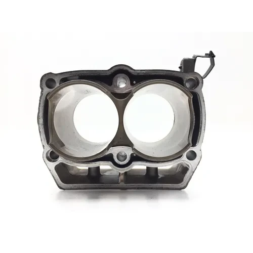 Engine Cylinder Jug 2012 Polaris RZR 800 EFI 2828A x 18