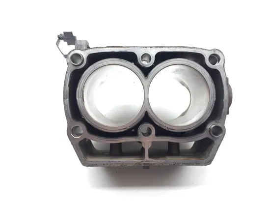 Engine Cylinder Jug 2012 Polaris RZR 800 EFI 2828A x