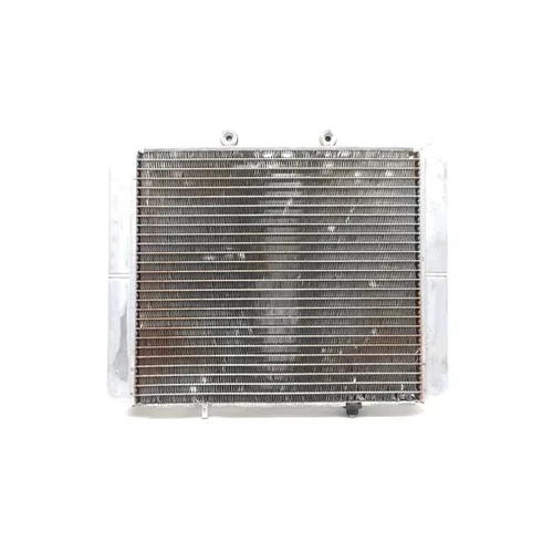 Engine Radiator Cooling 2012 Polaris RZR 800 EFI 2828A x 3