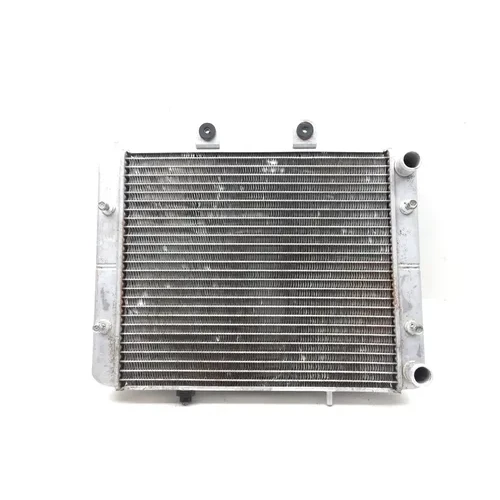 Engine Radiator Cooling 2012 Polaris RZR 800 EFI 2828A x 16