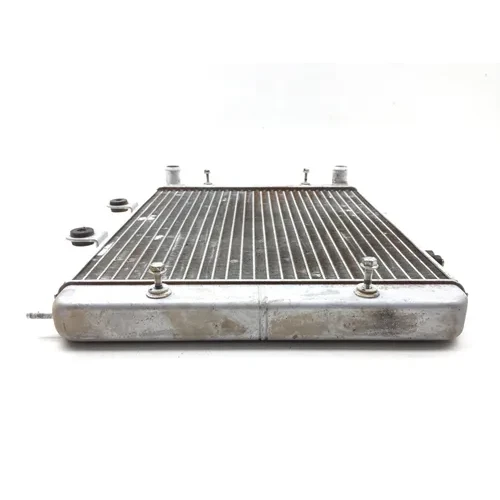 Engine Radiator Cooling 2012 Polaris RZR 800 EFI 2828A x 11