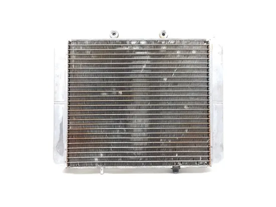 Engine Radiator Cooling 2012 Polaris RZR 800 EFI 2828A x