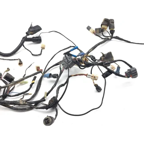 Main Engine Wiring Harness 2002 Kawasaki Prairie 650 KVF650A 4x4 2840A x 15
