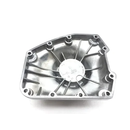 Cam Shaft Cover 2005 Harley-Davidson Electra Glide EFI FLHTI 2839A x 19