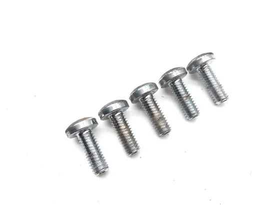 Rear Brake Rotor Disc Bolts 2005 Harley-Davidson Electra Glide EFI FLHTI 2839A