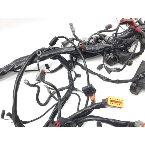 Main Engine Wiring Harness 2005 Harley-Davidson Electra Glide EFI FLHTI 2839A 7