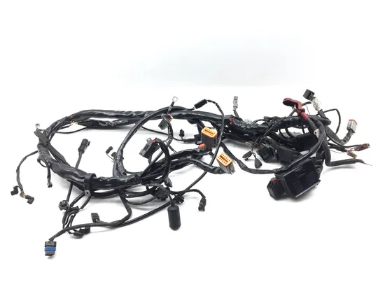 Main Engine Wiring Harness 2005 Harley-Davidson Electra Glide EFI FLHTI 2839A