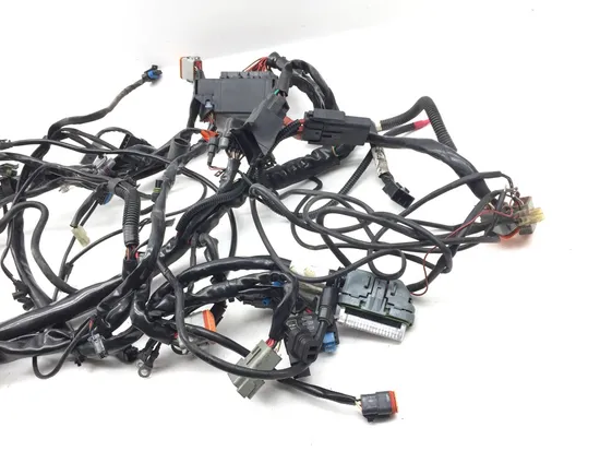 Main Engine Wiring Harness 2005 Harley-Davidson Electra Glide EFI FLHTI 2839A
