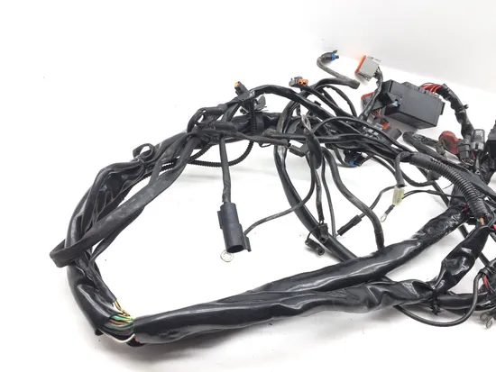 Main Engine Wiring Harness 2005 Harley-Davidson Electra Glide EFI FLHTI 2839A