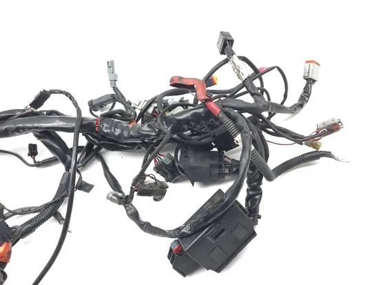Main Engine Wiring Harness 2005 Harley-Davidson Electra Glide EFI FLHTI 2839A