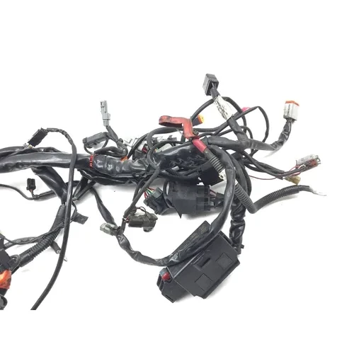 Main Engine Wiring Harness 2005 Harley-Davidson Electra Glide EFI FLHTI 2839A 9