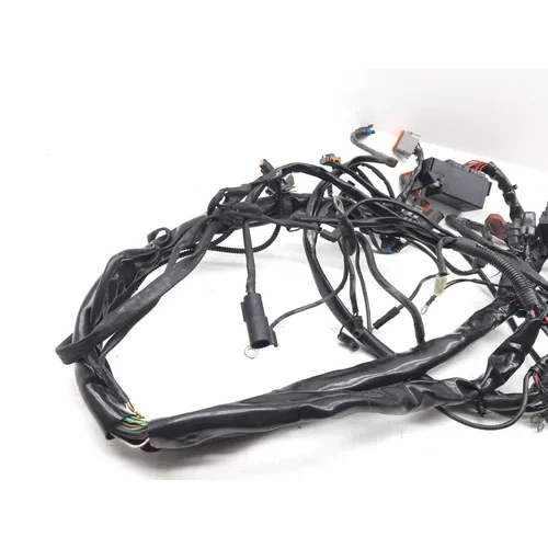 Main Engine Wiring Harness 2005 Harley-Davidson Electra Glide EFI FLHTI 2839A 13