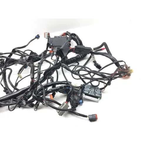 Main Engine Wiring Harness 2005 Harley-Davidson Electra Glide EFI FLHTI 2839A 14
