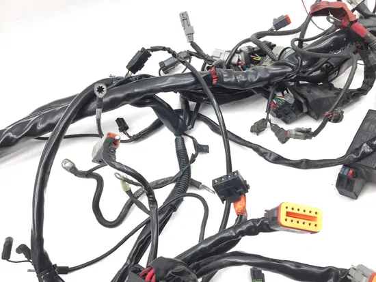 Main Engine Wiring Harness 2005 Harley-Davidson Electra Glide EFI FLHTI 2839A