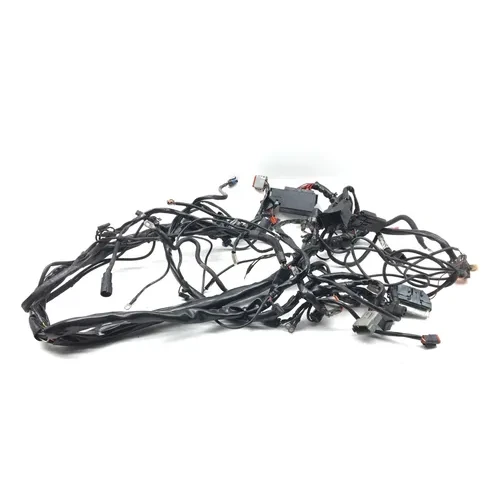 Main Engine Wiring Harness 2005 Harley-Davidson Electra Glide EFI FLHTI 2839A 11