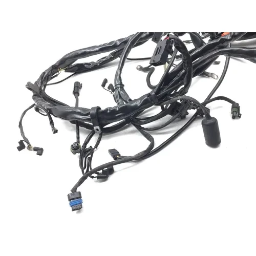 Main Engine Wiring Harness 2005 Harley-Davidson Electra Glide EFI FLHTI 2839A 5