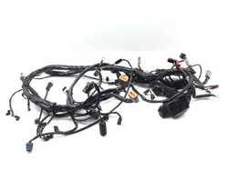 Main Engine Wiring Harness 2005 Harley-Davidson Electra Glide EFI FLHTI 2839A