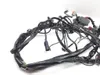 Main Engine Wiring Harness 2005 Harley-Davidson Electra Glide EFI FLHTI 2839A