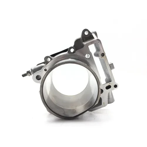 Engine Cylinder Jug W Piston Rear 2010 Can-Am Spyder RT-S Roadster SE5 2843A 20