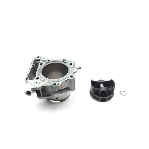 Engine Cylinder Jug W Piston Rear 2010 Can-Am Spyder RT-S Roadster SE5 2843A 3