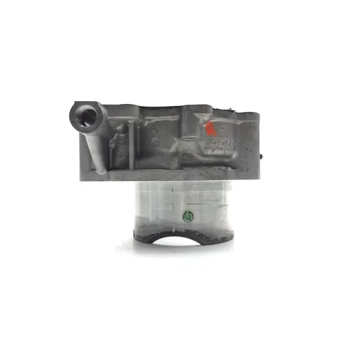 Engine Cylinder Jug W Piston Rear 2010 Can-Am Spyder RT-S Roadster SE5 2843A 9