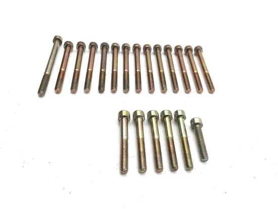 Engine Left Right Center Case Bolts 2010 Can-Am Spyder RT-S Roadster SE5 2843A