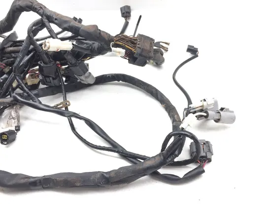 Main Engine Wiring Harness Yamaha A Wolverine R-Spec 2846