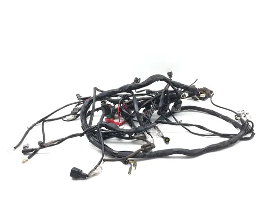 Main Engine Wiring Harness Yamaha A Wolverine R-Spec 2846