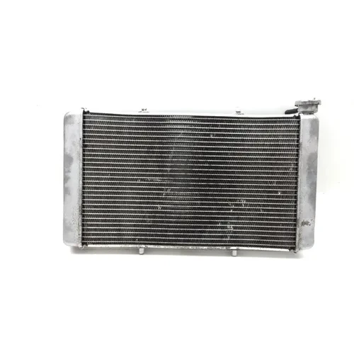 Engine Radiator Cooling 2016 Yamaha Wolverine R-Spec YXE 700 4x4 FI EPS 2846A x 3
