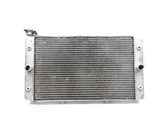 Engine Radiator Cooling 2016 Yamaha Wolverine R-Spec YXE 700 4x4 FI EPS 2846A x