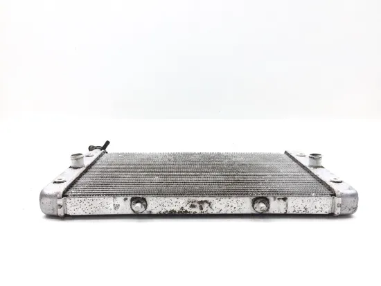 Engine Radiator Cooling 2016 Yamaha Wolverine R-Spec YXE 700 4x4 FI EPS 2846A x