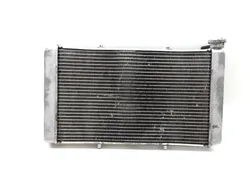 Engine Radiator Cooling 2016 Yamaha Wolverine R-Spec YXE 700 4x4 FI EPS 2846A x