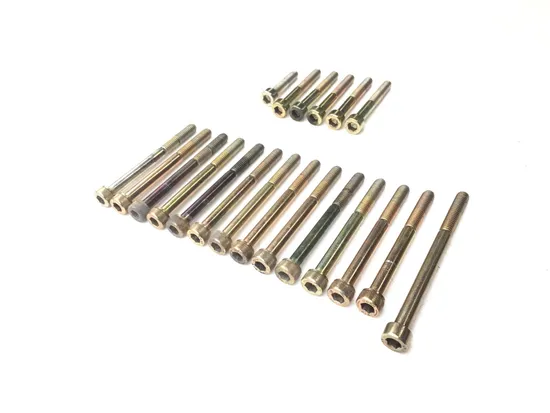 Engine Left Right Center Case Bolts 2010 Can-Am Spyder RS-S Roadster SE5 2848A