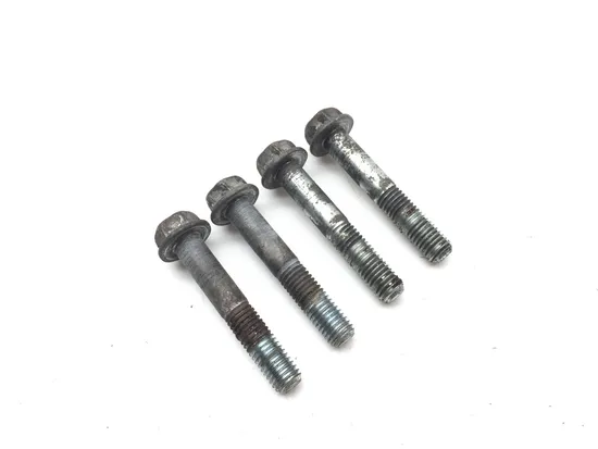 Front Brake Caliper Mounting Bolts 2010 Can-Am Spyder RS-S Roadster SE5 2848A