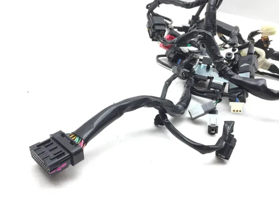 Main Engine Wiring Harness 2022 Kawasaki KLR650 2850A
