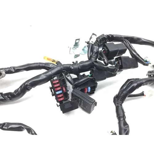 Main Engine Wiring Harness 2022 Kawasaki KLR650 2850A 14