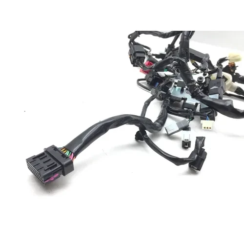 Main Engine Wiring Harness 2022 Kawasaki KLR650 2850A 5