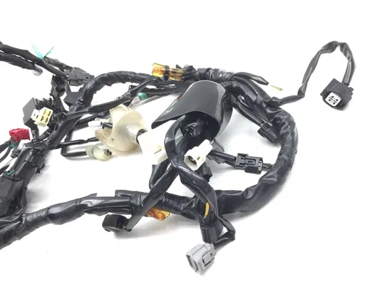 Main Engine Wiring Harness 2022 Kawasaki KLR650 2850A