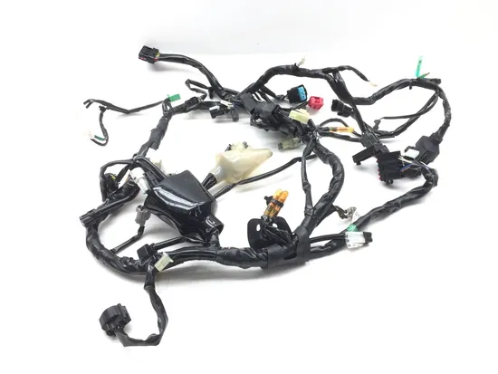 Main Engine Wiring Harness 2022 Kawasaki KLR650 2850A