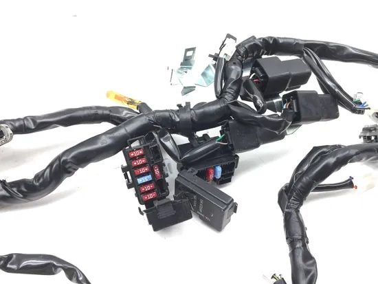 Main Engine Wiring Harness 2022 Kawasaki KLR650 2850A